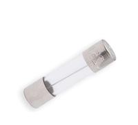 ESKA Lot de 10 fusibles fins 5 A 250 V CA Transparent