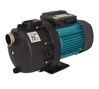 Espa Surpresseur Pool 1 CV Mono (0,75 kW)
