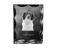 Espagnol français - cristal avec photo de chien, statuette en verre avec photo, cadre unique avec photo de la marque Art-Dog