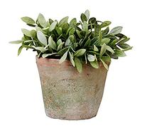 Esschert Design MP3/MP4 16 x 16 x 13 cm vieilli en terre cuite Pot de fleurs rond