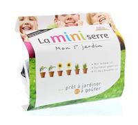 Esschert Mini Serre Jardin d'Enfant GREENHOUSE