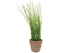 Esschert's Design AH005 Petit Pot Artificiel en Terre Cuite vieillie - Ciboulette