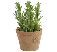Esschert's Design AH011 Pot de Fleurs artificielles en Terre Cuite vieillie Romarin