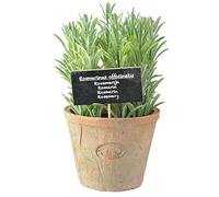 Esschert's Design AH012 Grand Pot Artificiel en Terre Cuite vieillie - Romarin