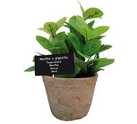 Esschert's Design Grand Pot Artificiel en Terre Cuite vieillie - Menthe/Vert AH004