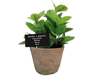 Esschert's Design Grand Pot Artificiel en Terre Cuite vieillie - Menthe/Vert AH004