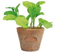 Esschert's Design Petit Pot Artificiel en Terre Cuite vieillie - Basilic AH007