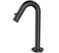 Essebagno Indus robinet lave-mains eau froide gris gun métal