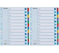 Esselte - 100165 - Intercalaires touches imprimées en Mylar - A4-12 Touches (Lot de 2)