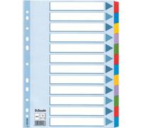 Esselte 100169 intercalaire de classement Onglet avec index vierge Multicolore