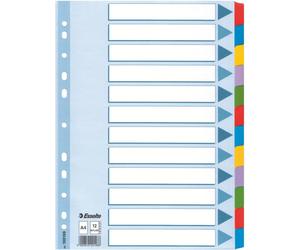 Esselte 100169 intercalaire de classement Onglet avec index vierge Multicolore