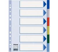 Esselte 15260 intercalaire de classement Onglet avec index vierge Polypropylène (PP) Multicolore