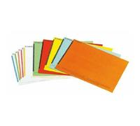 Esselte Étiquettes pour Dossier Suspendu Vertical, Lot de 10 planches de 25, Couleurs Assorties, Orgarex, 325800