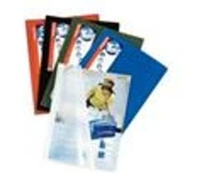 Esselte 395574050 protège documents Polypropylène (PP) Bleu Bleu G