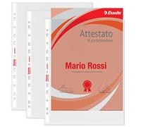 Esselte 395697200 Lot de 100 enveloppes perforées au Format de protocole PPL Anti-reflet, pour Stocker et Stocker des Documents au Format protocole 23 x 33 cm