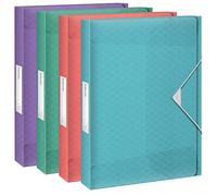 Esselte Classeur Projets, A4, 350 feuilles