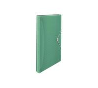 Esselte Colour'Ice Trieur 6 compartiments A4 à onglets vert