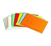 Esselte Étiquettes pour Dossier Suspendu Vertical, Lot de 10 planches de 25, Couleurs Assorties, Orgarex, 325800