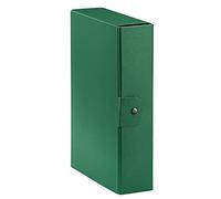 Esselte Eurobox Carton Vert dossier