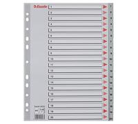 Esselte Intercalaires A4 Touches 1-20, Extra-Large, Gris, Onglets Renforcés en Plastique Résistant avec Table des Matières, 100107