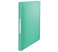 Esselte - Porte-vues A4 avec 80 Pochettes, Capacité 160 Feuilles, Rangement & Présentation de Documents, Maison / Bureau, Motif Texturé, Gamme Colour'Breeze, Vert, 626238