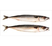 ESTAhome sticker mural des poissons gris 97 x 48.5 cm