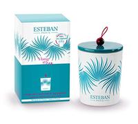 ESTEBAN - Bougie déco parfumée Rechargeable ylang ylang