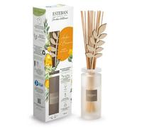 Bouquet parfumé ambre & baumes