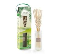 Esteban Bouquet parfumé Citronnelle et Menthe - Transparent