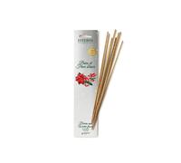 Esteban Encens en bâtons - Lot de 20