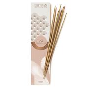 Esteban - Encens Indien Iris Cachemire