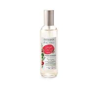 Esteban Grenade et Lime Vaporisateur Spray Pour Environnements 100 ml