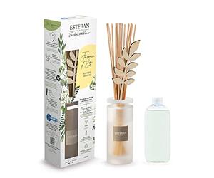 ESTEBAN Paris Bouquet Parfum Jasmin d'été Gelsomino d'été Baguettes en Bois et Recharge de 100 ML
