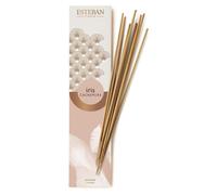 Esteban - Encens Indien Iris Cachemire