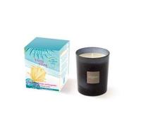 ESTEBAN PARIS Ylang Ylang Bougie parfumée 170 g