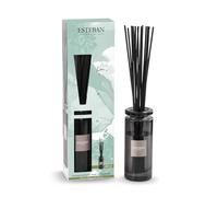 Esteban Pur Lin Pur Lin Bouquet parfumé Initial avec Baguettes et Recharge 100 ML