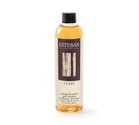 Esteban - recharge pour bouquet et spher