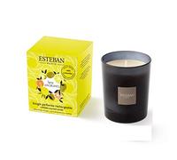 ESTEBAN TEA-008 Bougie parfumée Rechargeable Terre d'agrumes