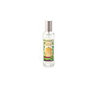 Vaporisateur 100ml mangue et citron vert