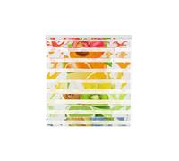 Estoralis | Cuisine | Store Enrouleur Nuit et Jour | Store Enrouleur en Tissu Double imprimé | C-1219 | 110 x 180 cm. (Largeur/Hauteur) Taille du Tissu 107 x 175 cm | Stores pour fenêtres et Portes
