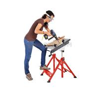 ÉTABLI BANC DE TRAVAIL DE SERRAGE PLAN PLIABLE INCLINABLE HOLZMANN WST20