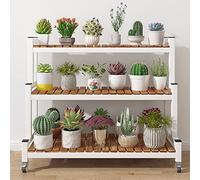Étagère à Plantes Moderne à 3 Niveaux pour Une Utilisation intérieure et extérieure, Support décoratif en Forme d'échelle pour Patio, Balcon ou Jardin (Blanc, 3 Niveaux, 80 cm)