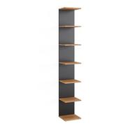 Vicco Étagère Murale Paolo, Anthracite, 30x190cm | pouvant être monté pour le rangement de livres et d’objets de décoration