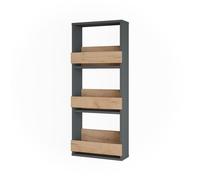 Étagère murale Repose 40x98cm Chêne de force doré/Anthracite Vicco 55584