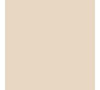 Peinture - ARCANE INDUSTRIES - ARCATERRASSE - Étanchéité terrasse et balcon - 10 L - Sable (plusieurs couleurs)