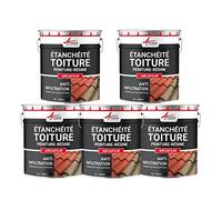 Revêtement Étanchéité Coloré - Résine Pour Toiture Et Tuile : Arcafilm - Offre Spéciale : 5 X 10l Ardoise - Arcane Industries