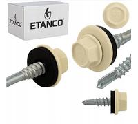 Etanco GT5 Vis autoperceuses métal-métal (250, RAL 1015 - Ivoire clair, 5,5 x 32 mm)
