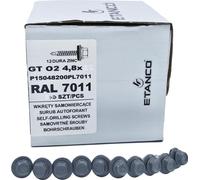 ETANCO Vis autoperceuses Vis à tôle trapézoïdale RAL 7011 4,8 x 35 mm 250 pcs.