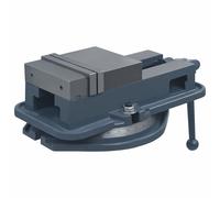 vidaXL Étau à table tournante Fonte 160 mm