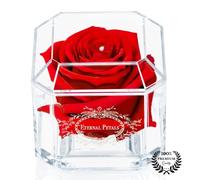 Eternal Petals A 100% Real Rose That Lasts A Year - The Perfect Unique Gift for Women and Men, an, A Birthday Gift - White Gold Solo with Swarovski Crystal (Red)